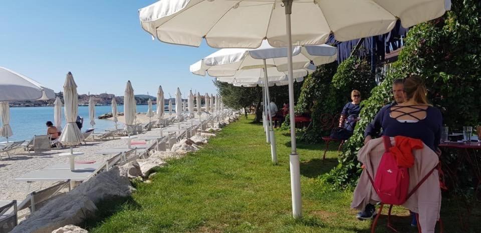 Kia Ora Apartment Τρογκίρ Εξωτερικό φωτογραφία